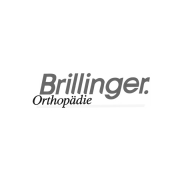 Brillinger GmbH &-Co. KG