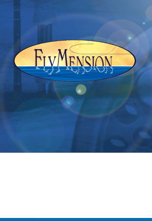 Corporate Design: FlyMension
